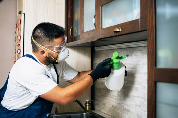 Best Pest Prevention Services  in Pipestone, MN