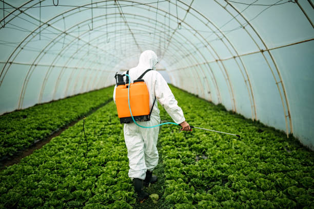Reliable Pipestone, MN Pest Control Solutions