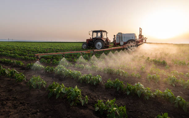 Best Best Pest Control Companies  in Pipestone, MN