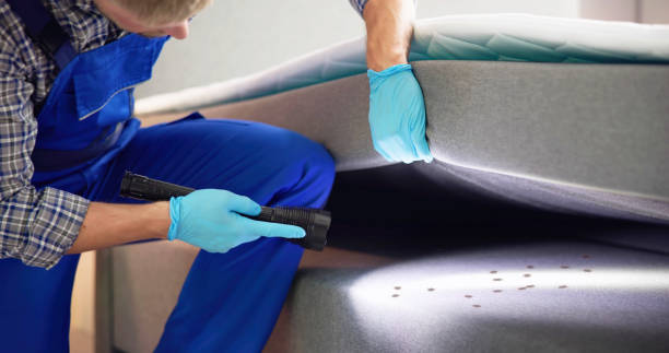 Best Best Pest Control Companies  in Pipestone, MN