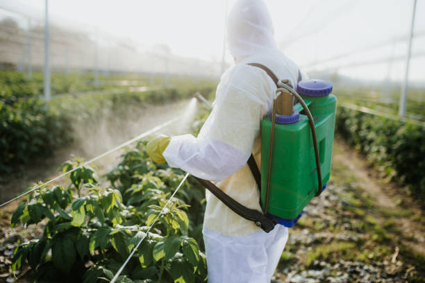  Pipestone, MN Pest Control Pros